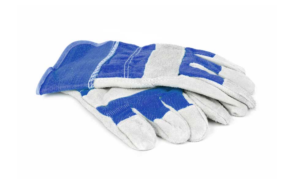 Profi Handschutz